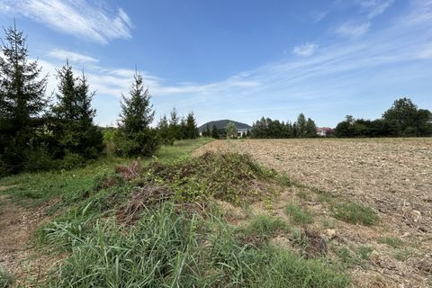 Terra a Torreglia, Padua, Torreglia - € 166.000 | Ref: TR303 - foto 2