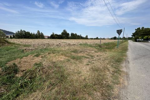 Terra a Torreglia, Padua, Torreglia - € 166.000 | Ref: TR303 - foto 6