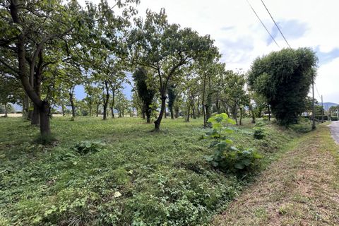 Terra a Torreglia, Padua, Torreglia - € 166.000 | Ref: TR303 - foto 8