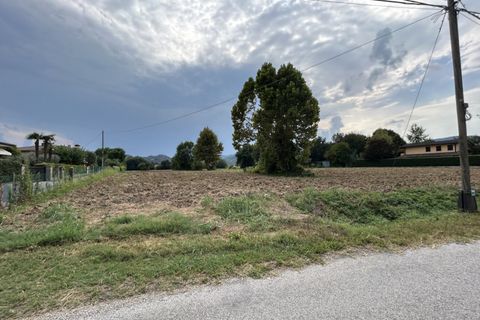 Terra a Torreglia, Padua, Torreglia - € 166.000 | Ref: TR303 - foto 16