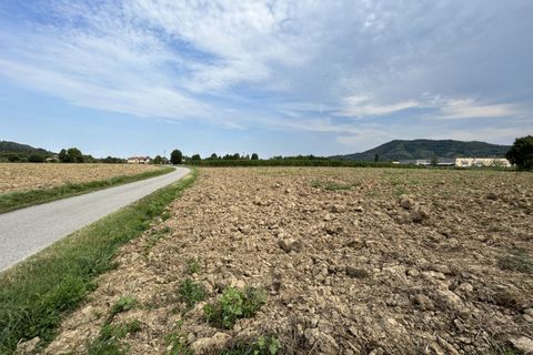 Terra a Torreglia, Padua, Torreglia - € 166.000 | Ref: TR303 - foto 20