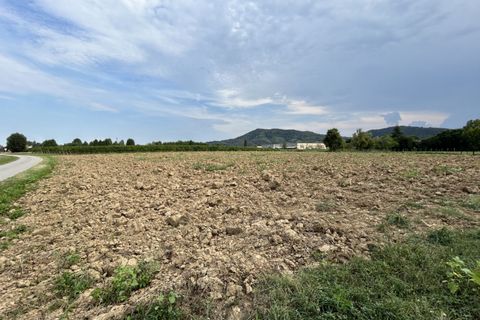 Terra a Torreglia, Padua, Torreglia - € 166.000 | Ref: TR303 - foto 22