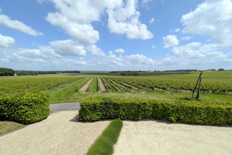 Villa a Jonzac, Charente-Maritime, Jonzac - € 995.000 | Ref: BVI85855 - foto 15