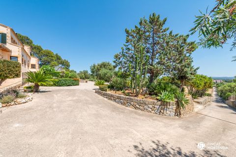 Landejendom i Inca, Mallorca, Inca - € 1.750.000 | Ref: VFI14726/13188 - foto 48