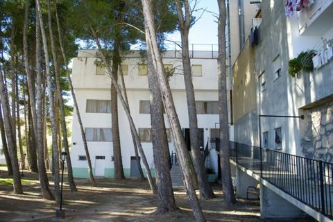 Erhvervsejendom i Bejis, Castellon, Bejis - € 800.000 | Ref: 2871/11562 - foto 2