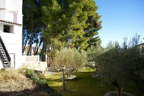 Erhvervsejendom i Bejis, Castellon, Bejis - € 800.000 | Ref: 2871/11562 - foto 8