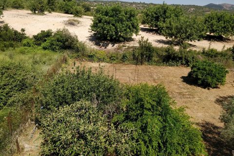 Villa i Macastre, Valencia, Macastre - € 320.000 | Ref: 2624/11562 - foto 44