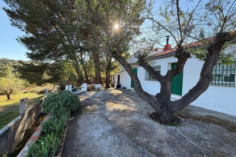 Villa em Bunol, Valencia, Bunol - € 120.000 | Ref: 3150/11562 - foto 22