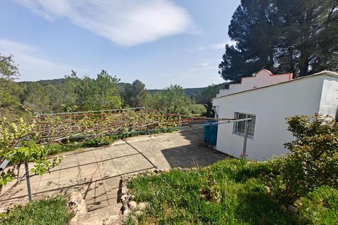 Villa em Bunol, Valencia, Bunol - € 120.000 | Ref: 3150/11562 - foto 24