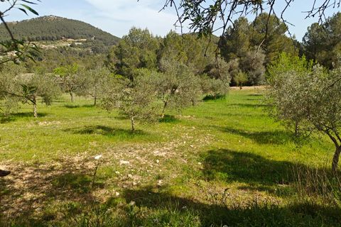Villa em Bunol, Valencia, Bunol - € 120.000 | Ref: 3150/11562 - foto 31