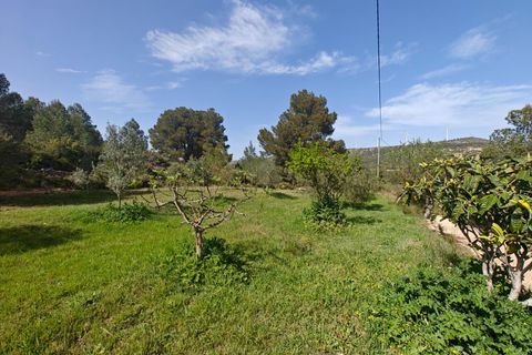Villa em Bunol, Valencia, Bunol - € 120.000 | Ref: 3150/11562 - foto 32