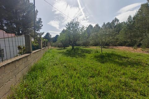 Villa em Bunol, Valencia, Bunol - € 120.000 | Ref: 3150/11562 - foto 33