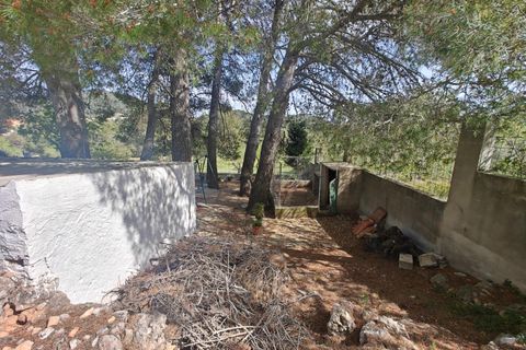 Villa em Bunol, Valencia, Bunol - € 120.000 | Ref: 3150/11562 - foto 36
