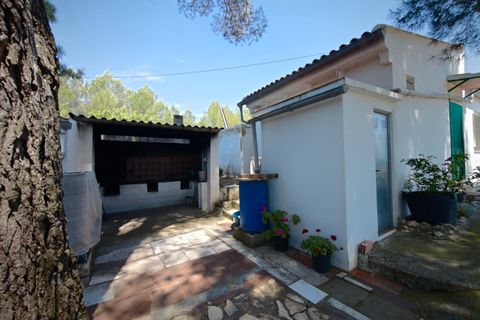 Villa en Bunol, Valencia, Bunol - € 120.000 | Ref: 3150/11562 - photo 30