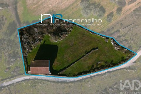 Byhus i Pinhel, Guarda, Pinhel - € 190.000 | Ref: 928837 - foto 2