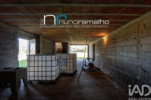 Byhus i Pinhel, Guarda, Pinhel - € 190.000 | Ref: 928837 - foto 37