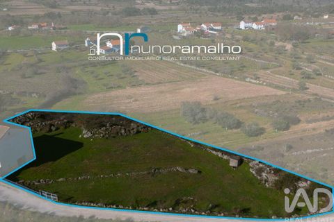 Byhus i Pinhel, Guarda, Pinhel - € 190.000 | Ref: 928837 - foto 40