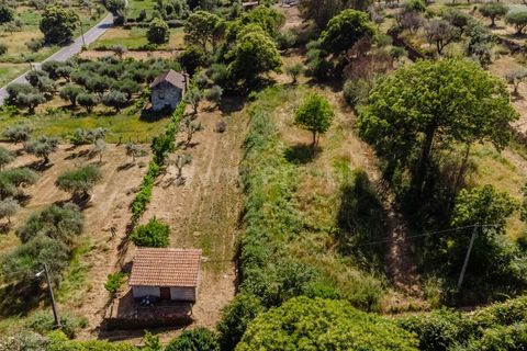 Helårsgrund i Covilha, Castelo Branco, Covilha - € 22.380 | Ref: 111260122 - foto 2