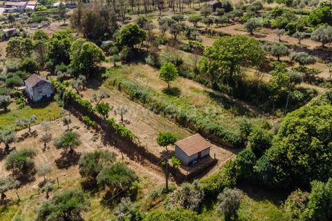 Helårsgrund i Covilha, Castelo Branco, Covilha - € 22.380 | Ref: 111260122 - foto 3