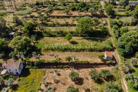Helårsgrund i Covilha, Castelo Branco, Covilha - € 22.380 | Ref: 111260122 - foto 4