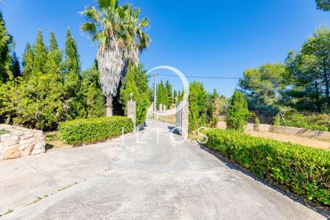 Villa i Vilamarxant, Valencia, Vilamarxant - € 269.000 | Ref: IV-0416 - foto 2