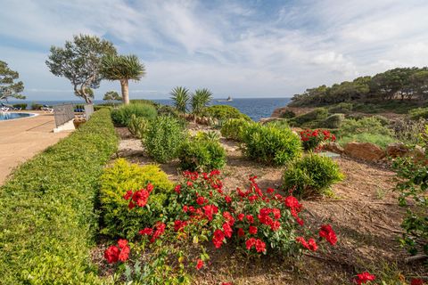 Leilighet i Llucmajor, Mallorca, Llucmajor - € 900 000 | Ref: 46390001_AA/11003 - foto 28