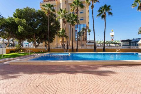 Leilighet i Torrevieja, Alicante, Torrevieja - € 125 000 | Ref: AM-02273/8919 - foto 16
