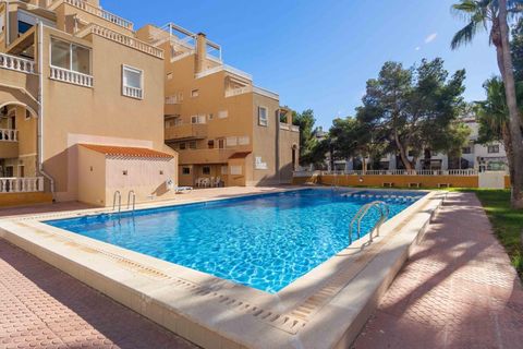 Leilighet i Torrevieja, Alicante, Torrevieja - € 125 000 | Ref: AM-02273/8919 - foto 17