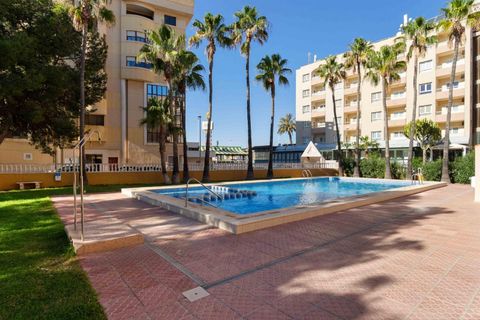 Leilighet i Torrevieja, Alicante, Torrevieja - € 125 000 | Ref: AM-02273/8919 - foto 18