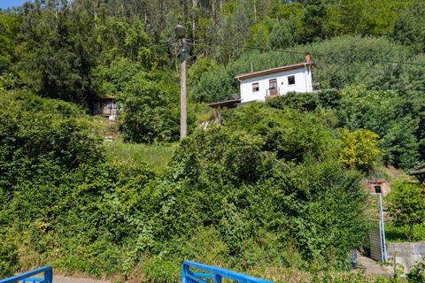Villa i Mieres, Asturias, Mieres - € 120.000 | Ref: QPE00412/10606 - foto 37