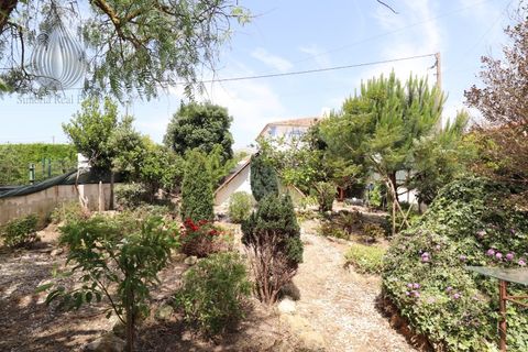 Villa em Torres Vedras, Lisbon, Torres Vedras - € 330.000 | Ref: CAS_218 - foto 28