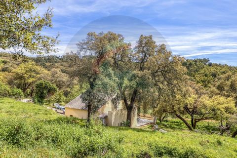 Villa a Marmelete, Faro, Marmelete - € 365.000 | Ref: M-0249 - foto 7