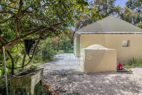 Villa a Marmelete, Faro, Marmelete - € 365.000 | Ref: M-0249 - foto 9