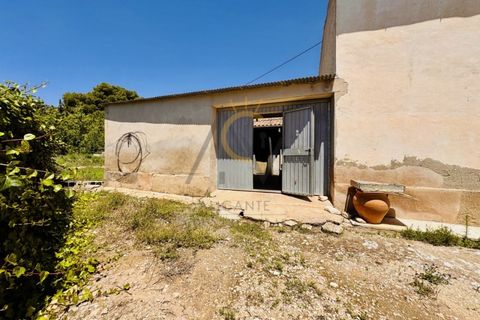 Landejendom i Monovar, Alicante, Monovar - € 179.995 | Ref: DNV0654 - foto 2