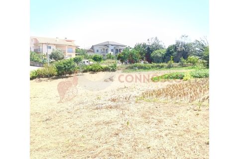 Villa i Arganil, Coimbra, Arganil - € 120.000 | Ref: BS 26/04 - foto 2