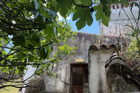 Villa i Crato, Portalegre, Crato - € 9.000 | Ref: C0409-02067 - foto 3