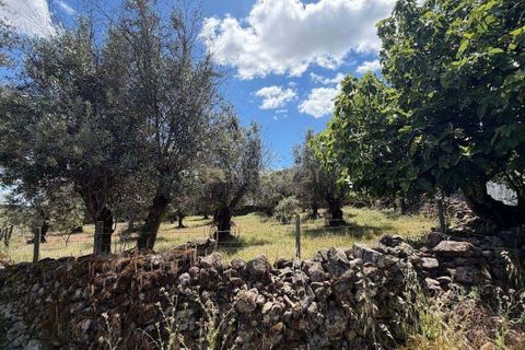 Villa i Crato, Portalegre, Crato - € 9.000 | Ref: C0409-02067 - foto 4