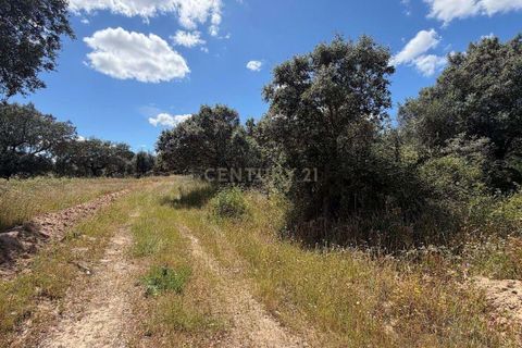 Villa i Crato, Portalegre, Crato - € 9.000 | Ref: C0409-02067 - foto 5