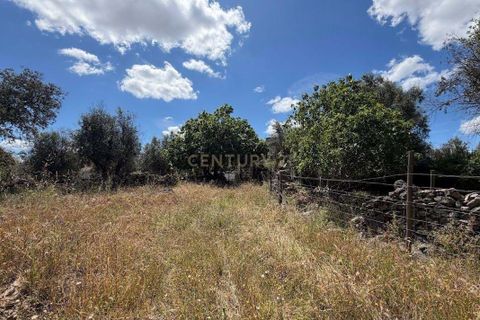 Villa i Crato, Portalegre, Crato - € 9.000 | Ref: C0409-02067 - foto 6