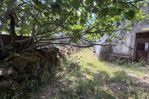 Villa i Crato, Portalegre, Crato - € 9.000 | Ref: C0409-02067 - foto 9