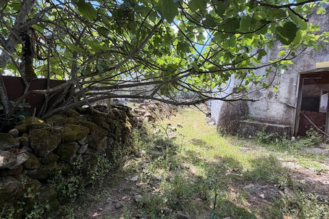 Villa i Crato, Portalegre, Crato - € 9.000 | Ref: C0409-02067 - foto 10
