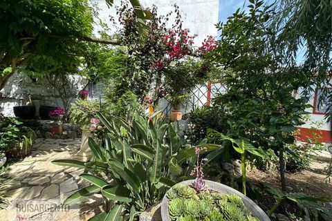 Villa i Sintra, Lisbon, Sintra - € 680.000 | Ref: CAS_267RS230526 - foto 42