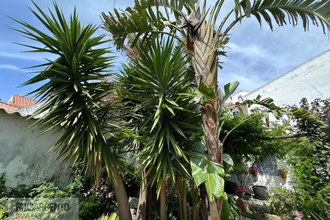 Villa i Sintra, Lisbon, Sintra - € 680.000 | Ref: CAS_267RS230526 - foto 44