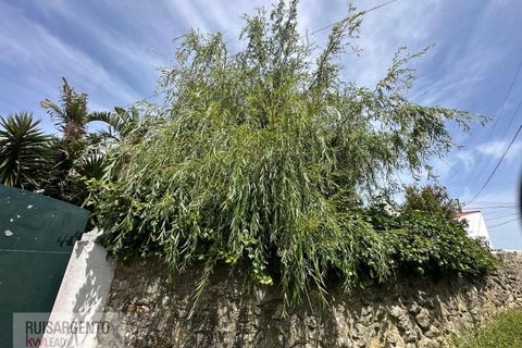 Villa i Sintra, Lisbon, Sintra - € 680.000 | Ref: CAS_267RS230526 - foto 45