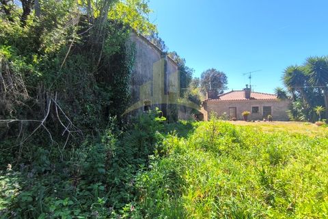 Villa i Viana do Castelo, Viana do Castelo, Viana do Castelo - € 245.000 | Ref: SG-0110 - foto 27