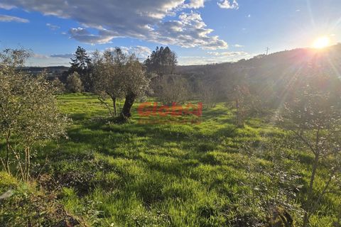 Helårsgrund i Viseu, Viseu, Viseu - € 37.500 | Ref: 189252074 - foto 1