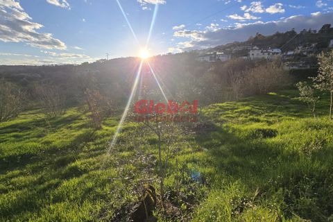 Helårsgrund i Viseu, Viseu, Viseu - € 37.500 | Ref: 189252074 - foto 2