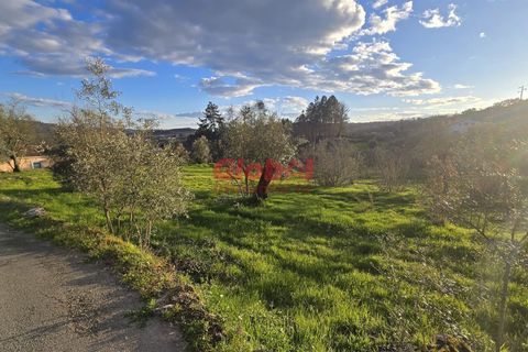 Helårsgrund i Viseu, Viseu, Viseu - € 37.500 | Ref: 189252074 - foto 3