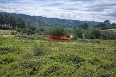 Helårsgrund i Viseu, Viseu, Viseu - € 87.000 | Ref: 189262046 - foto 1