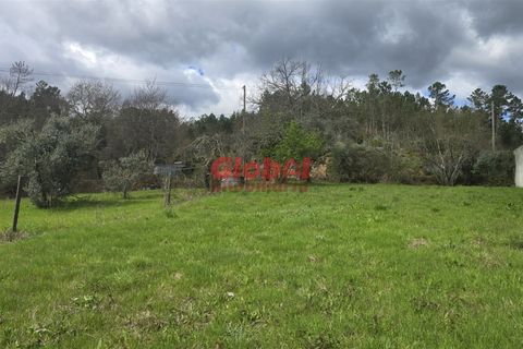 Helårsgrund i Viseu, Viseu, Viseu - € 38.500 | Ref: 189262049 - foto 2